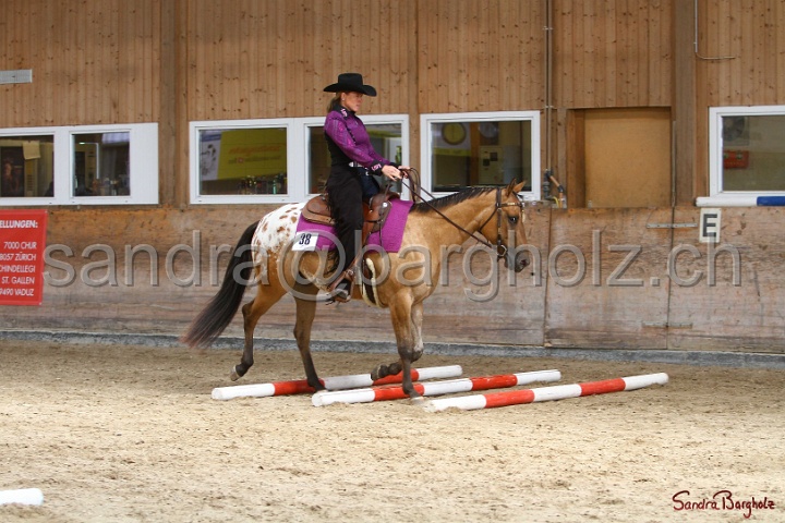 26-ApHC GT_010.jpg